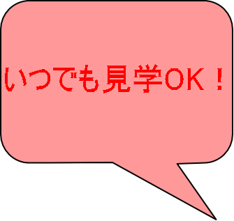 ���ł����wOK�I 